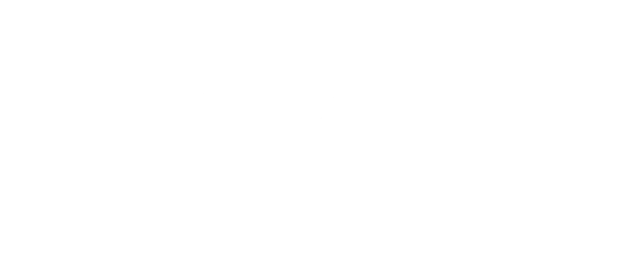 The T System